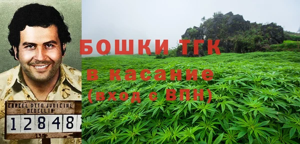 стафф Вяземский