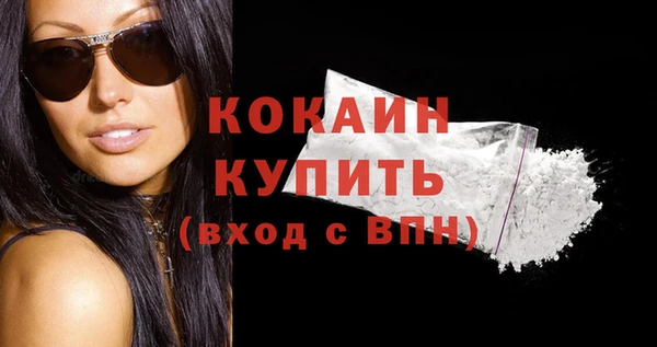 стафф Вяземский