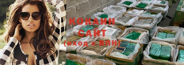 стафф Вяземский