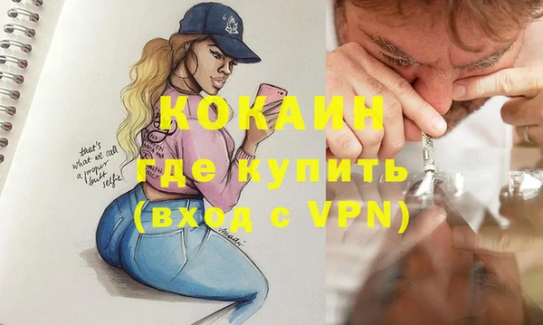 стафф Вяземский