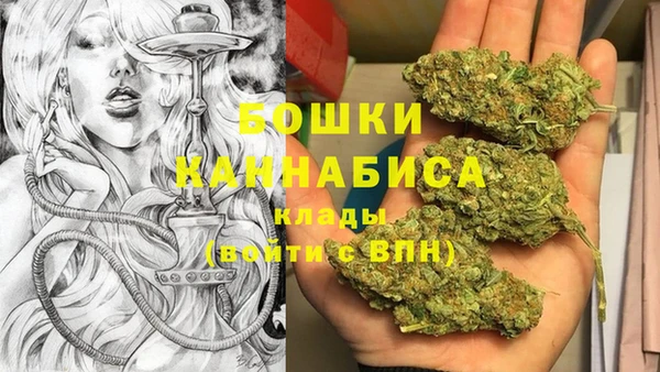 стафф Вяземский