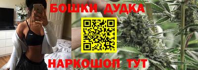молекула духа Гай