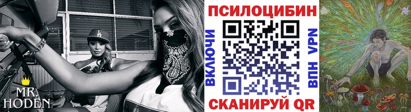 кракен как войти  Железногорск  Псилоцибиновые грибы Psilocybine cubensis 