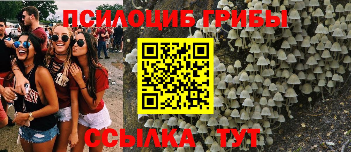 Железногорск  где купить наркоту  Вход с VPN  Псилоцибиновые грибы мухоморы 
